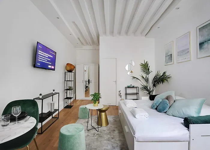 Magnificent - 2p - Les Halles باريس