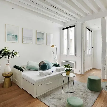 Magnificent - 2p - Les Halles